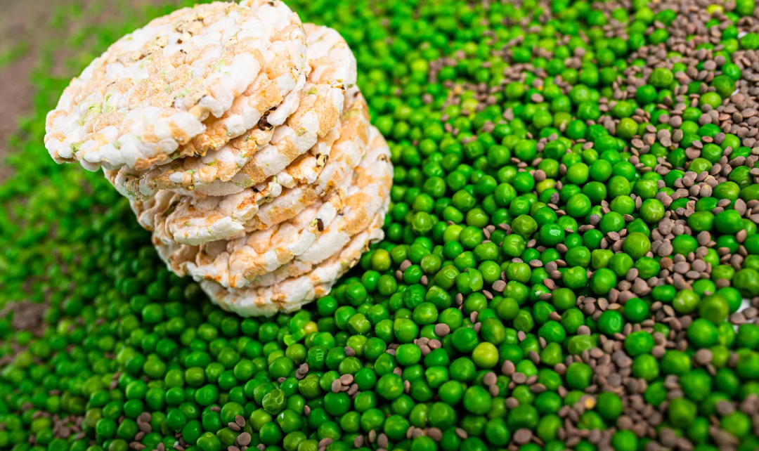 Alimentos inspirados con la Inteligencia Artificial de IBM