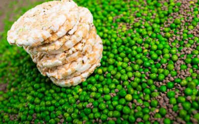 New Foods inspired by IBM Watson Artifical Intelligence